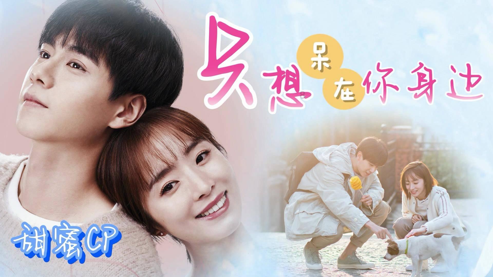 豆娃爱糖果3